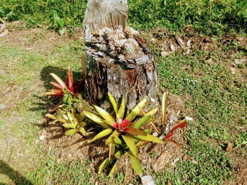 Chale Vale Das Flores - Visconde De Maua Rj Экстерьер фото