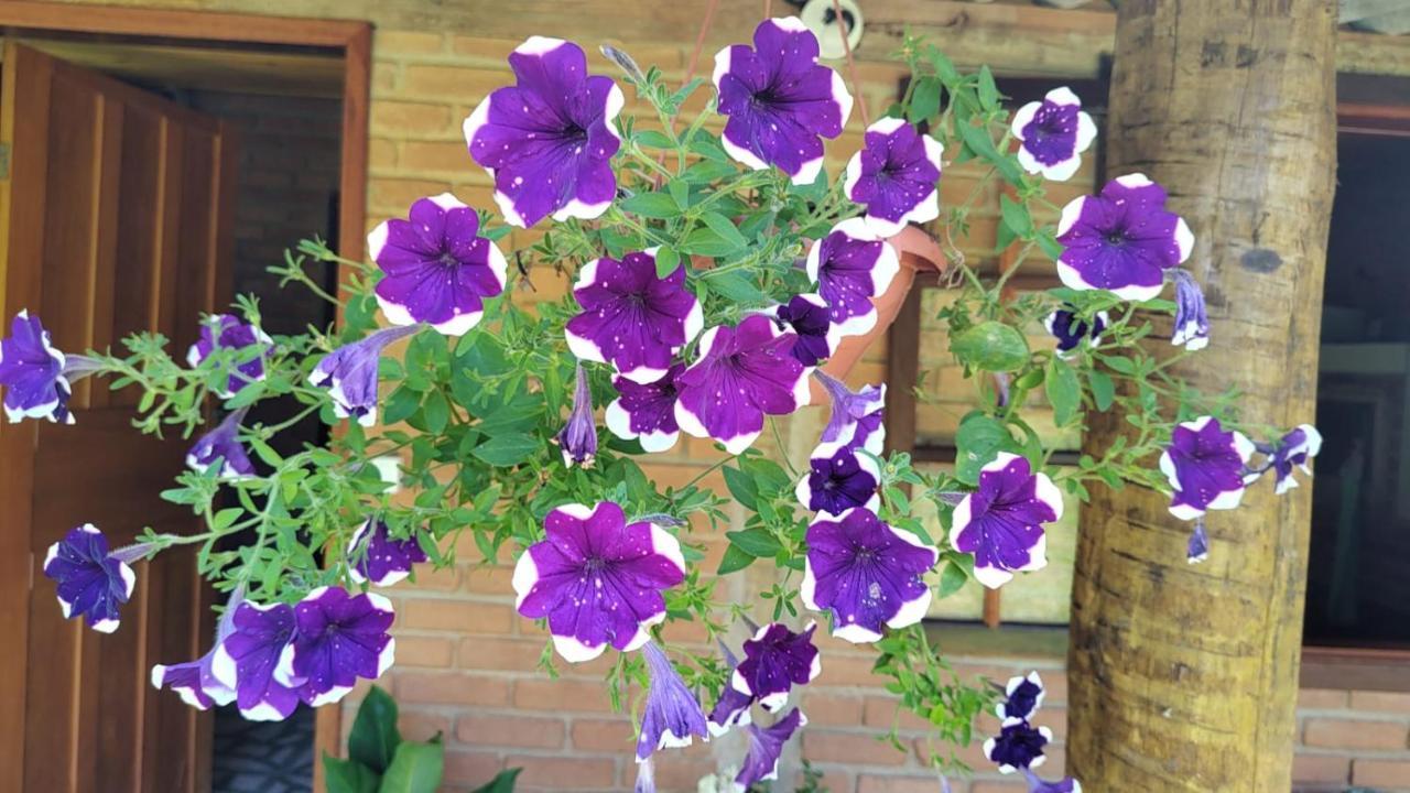 Chale Vale Das Flores - Visconde De Maua Rj Экстерьер фото